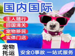 北戴河机场托运国际宠物托运 【国